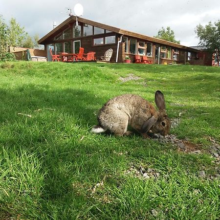 Hostel Geysir Hestar Haukadalur Exterior foto